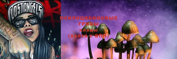 прущие грибы Нягань