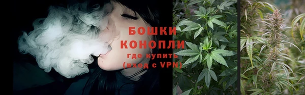 каннабис Алексеевка