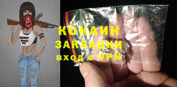прущие грибы Нягань