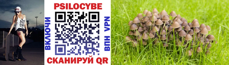 Галлюциногенные грибы Psilocybine cubensis  Уржум 